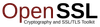SSL icon